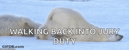 Polar Bear Walking Back To Jury Duty GIF