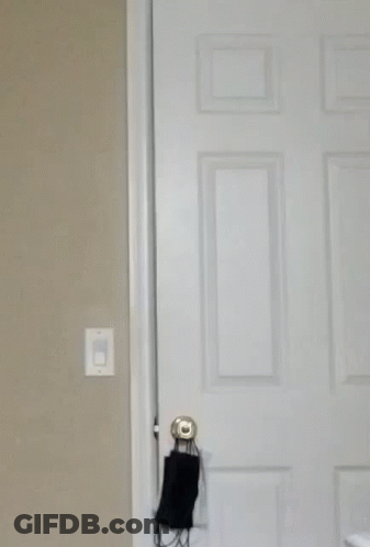 Polar Bear With Hannah Lurking GIF