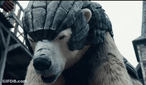 Polar Bear With Helmet Looking At Camera GIF