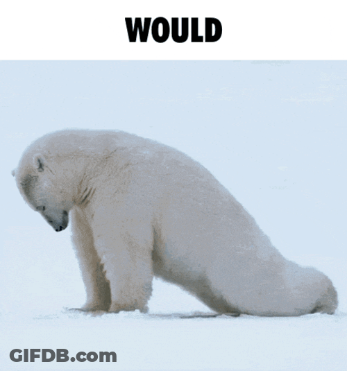 Polar Bear Would GIF