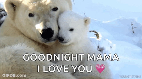 Polar Bears Hugging Goodnight Mama I Love You GIF
