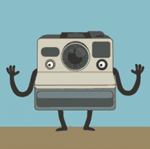 Polaroid Cartoon Taking Picture GIF