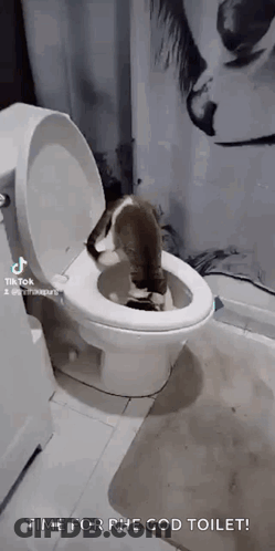 Pole Dancer Performing Trick GIF