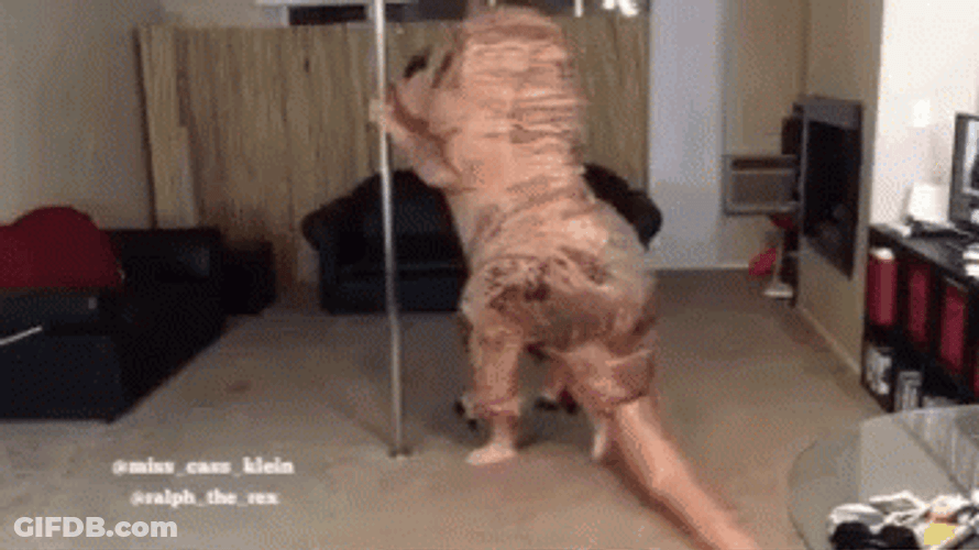 Pole Dancing Dinosaur Mascot GIF