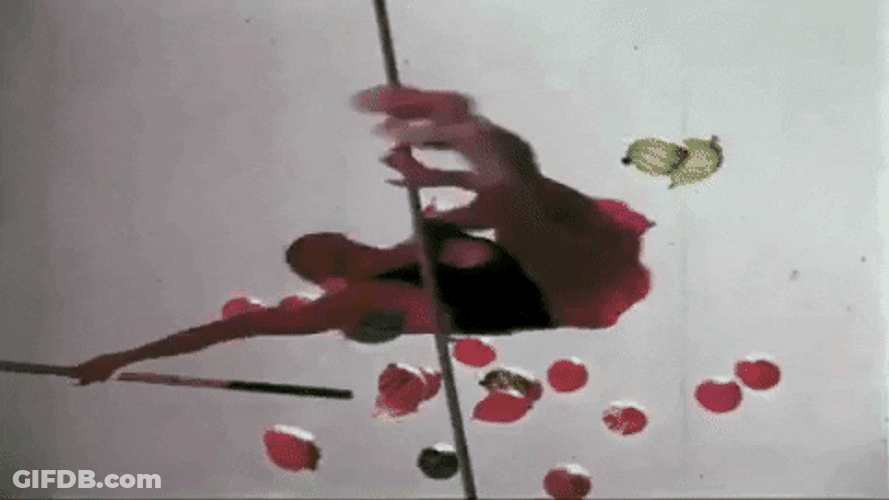 Pole Vault Up Shot GIF