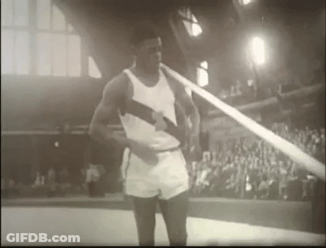Pole Vault Vaulters GIF