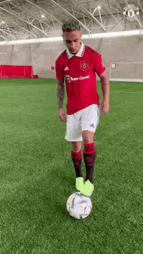 Poli GIF