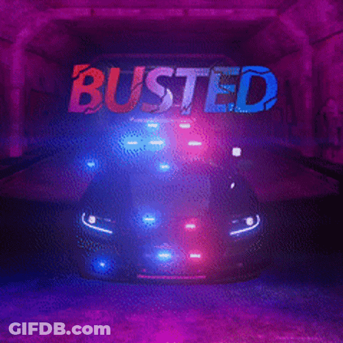 Police Car Busted Arrest Moment GIF