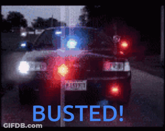 Police Car Busted Lights Flashing GIF