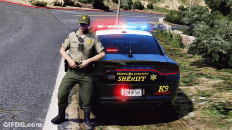 Police Car GIF