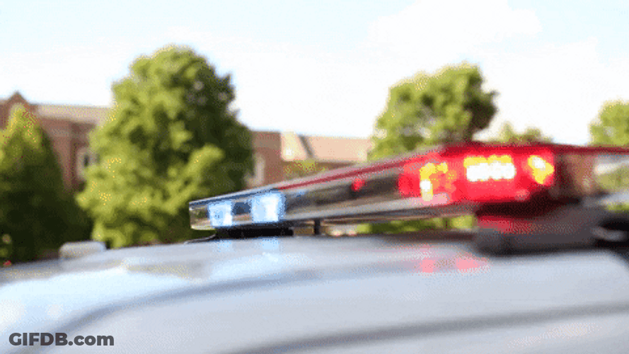Police Car Lights On Sunny Day GIF