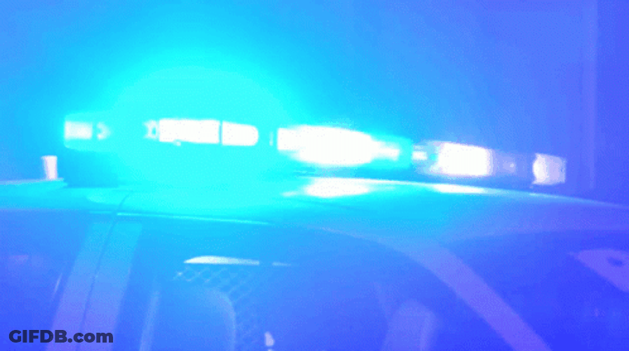 Police Car Lights On Top GIF