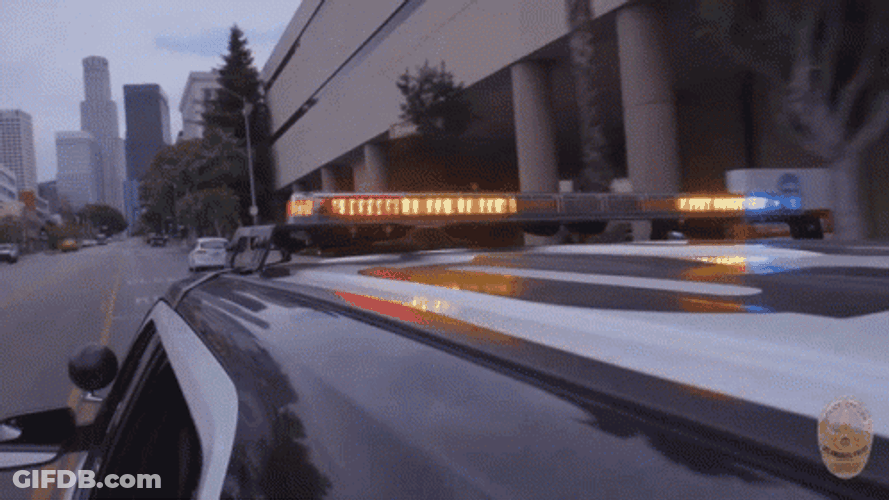 Police Car GIF