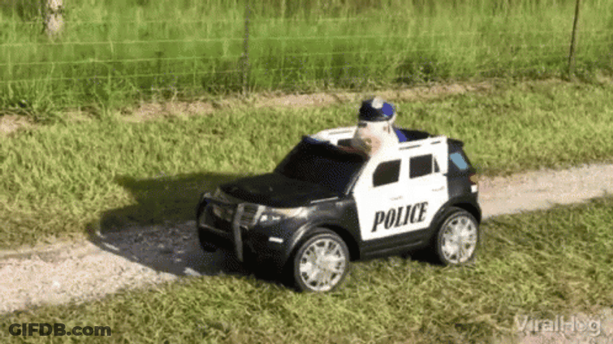 Police Car GIF