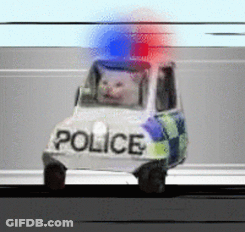 Police Car With Cat Driving GIF