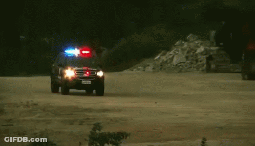 Police Car With Lights On Dirt Road GIF