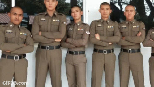 Police GIF