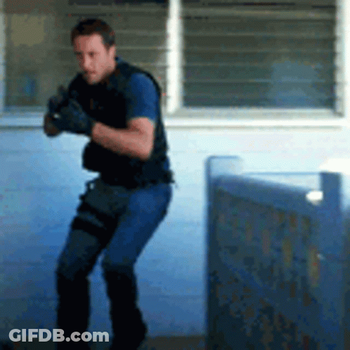 Police GIF
