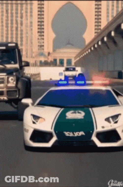 Police Lights Cop Care Sports Car Lamborghini GIF