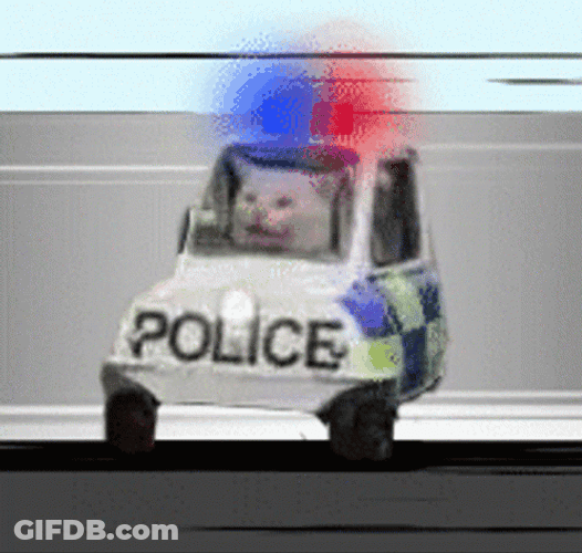 Police Lights Police Car Cat Driving Meme GIF