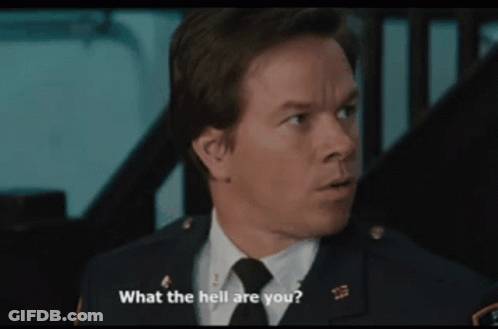 Police Man Asks What The Hell Are You GIF
