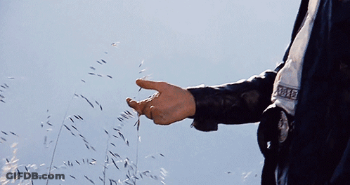 Police Officer Hand Reaching To Touch Grass GIF