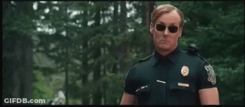 Police Officer In Sunglasses And Blue Uniform In Woods GIF