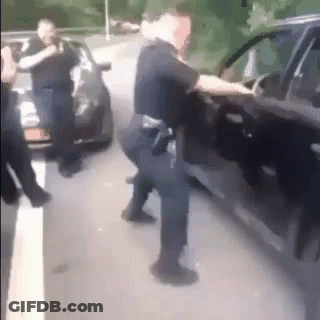Police Officer Next To Car With Man Behind GIF
