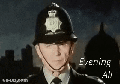 Police Officer With Crown Helmet GIF