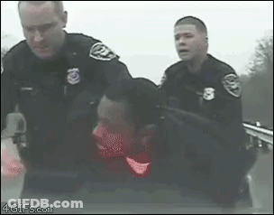Police Officers Holding Man In Car GIF
