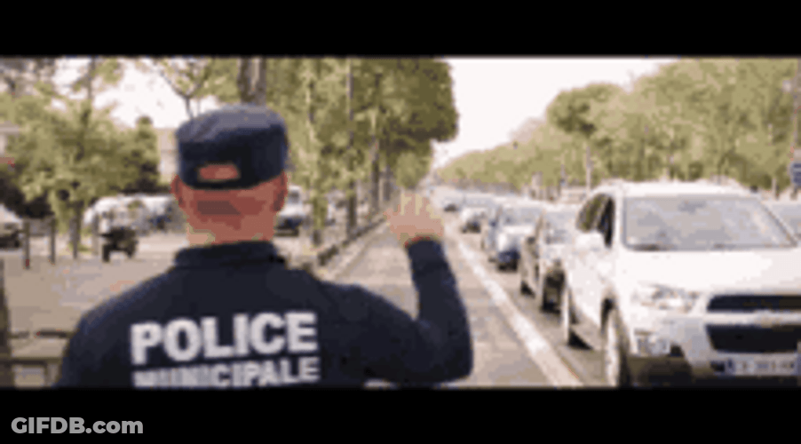 Police Stop Driver Traffic GIF