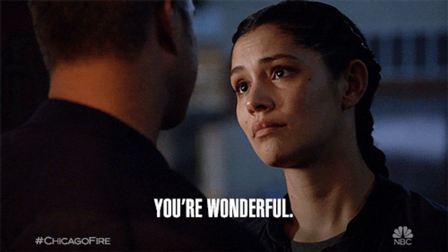 Police Woman Youre Wonderful GIF