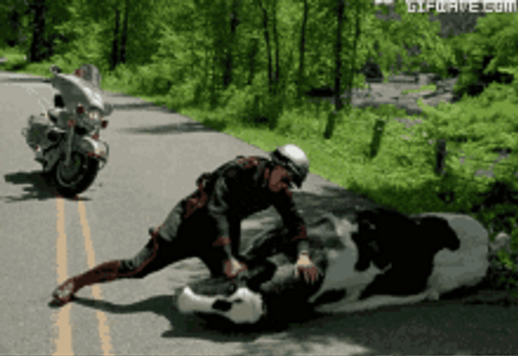 Policeman Beating A Dead Horse GIF