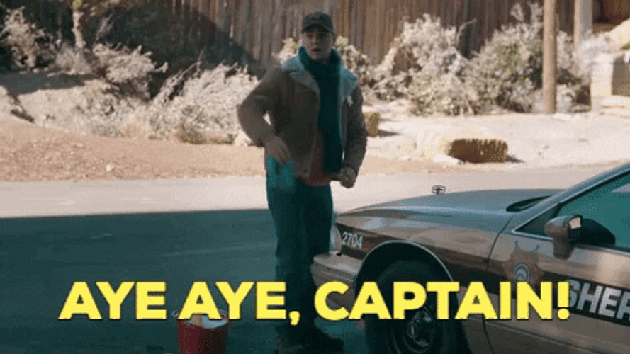 Policeman Saluting Aye Aye Captain GIF