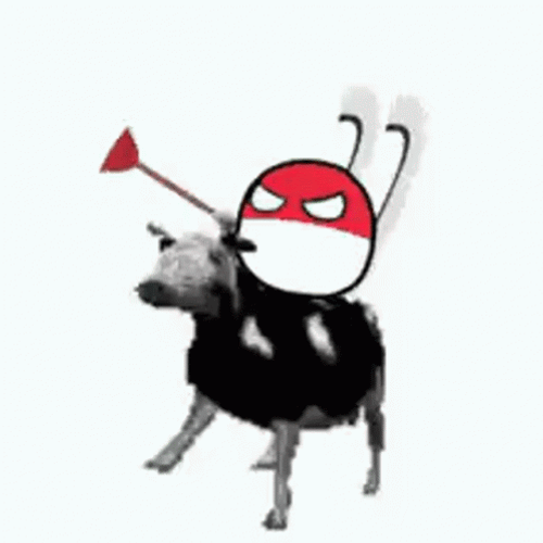Polish Cow Countryballs GIF
