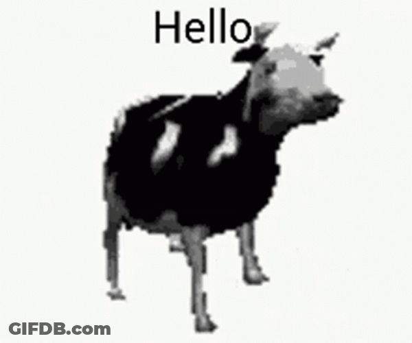 Polish Cow Funny Dancing Hello Meme GIF
