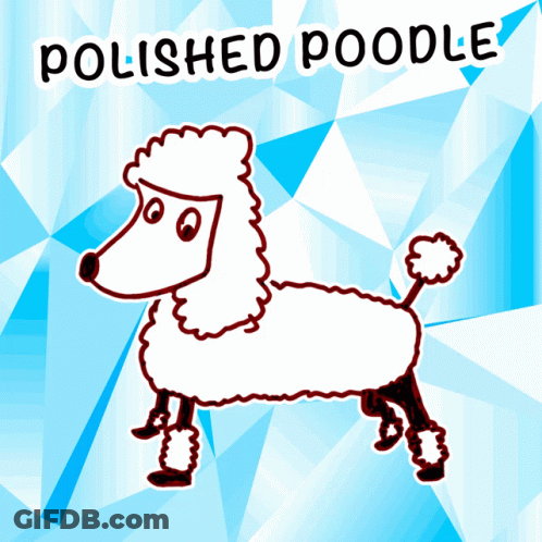 Polished Poodle With Blue Background GIF