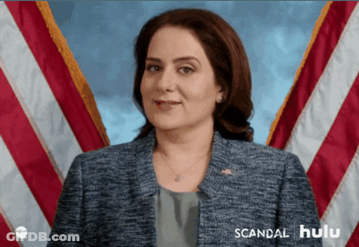 Politician Susan Ross On Scandal Awkward Smile GIF