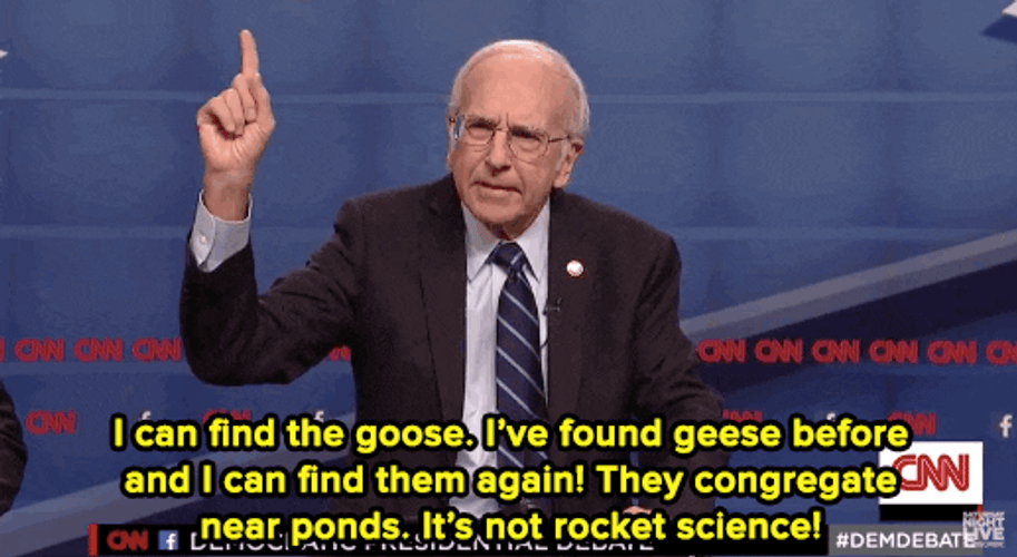 Politics Parody Larry David GIF