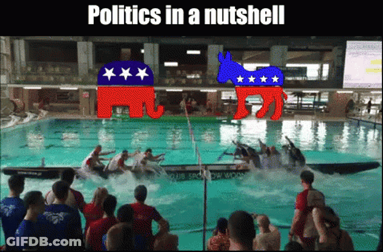 Politics Republicans Democrats Rowing Meme GIF