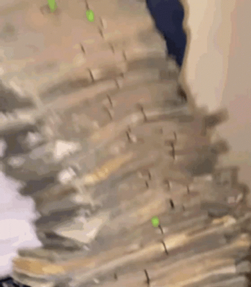 Polo G Showing Big Stack Of Money GIF