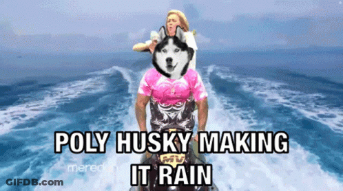 Poly Husky Making It Rain On Jet Ski GIF