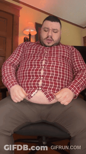 Pomeranian Dog Being Petted On Table GIF