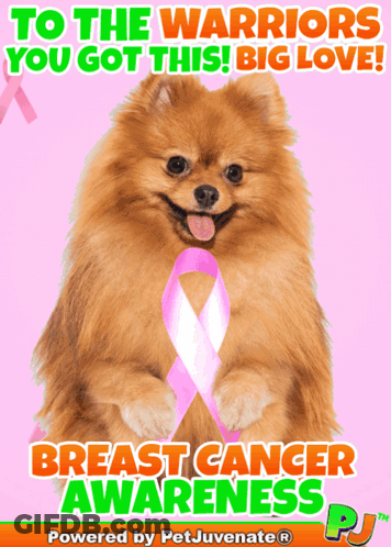 Pomeranian Dog Pink Ribbon Warriors You Got This GIF