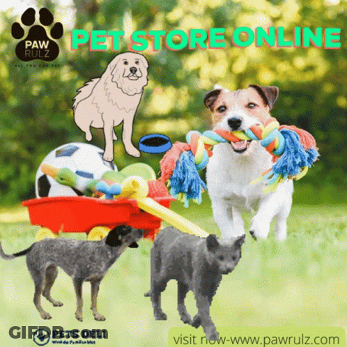 Pomeranian Dog With Pink Ribbon Saying To The Warriors You Got This Big Love GIF