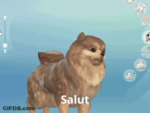 Pomeranian Dog With Salut Video Game GIF