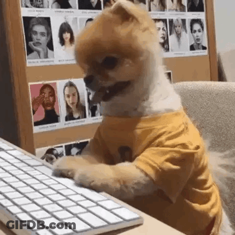 Pomeranian In Yellow Shirt Typing On Keyboard GIF
