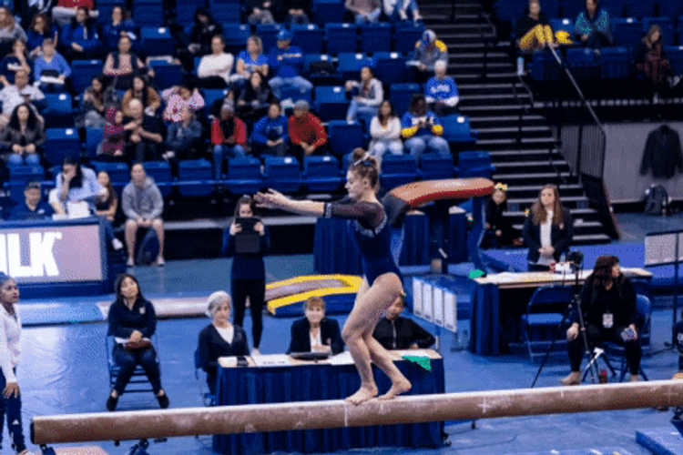Pommel Horse Back Hand Spring GIF