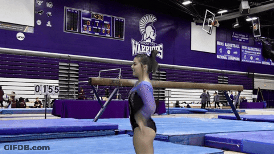 Pommel Horse Perfect Landing GIF
