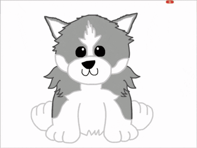 Pomsky Puppy GIF